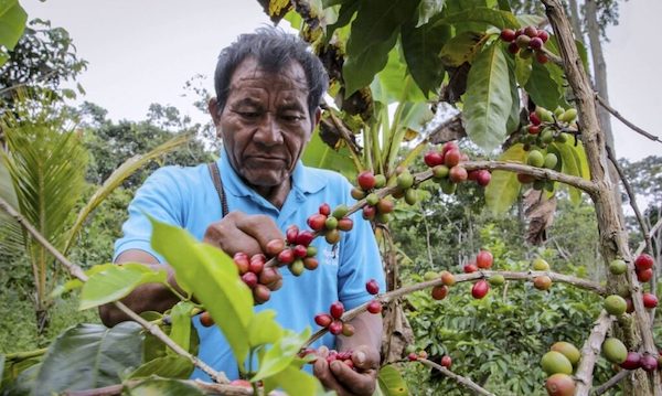 Las cinco patas del agro (y por qué una se debe repensar)