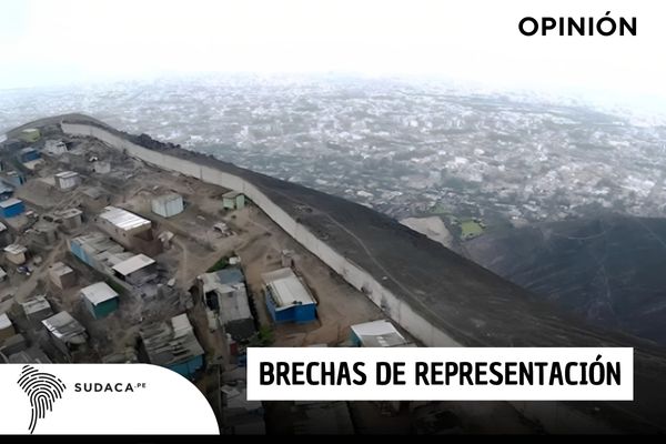 Brechas de representación