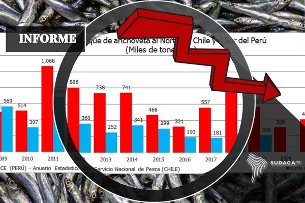 Protagonistas y espectadores: La crisis en la pesca peruana