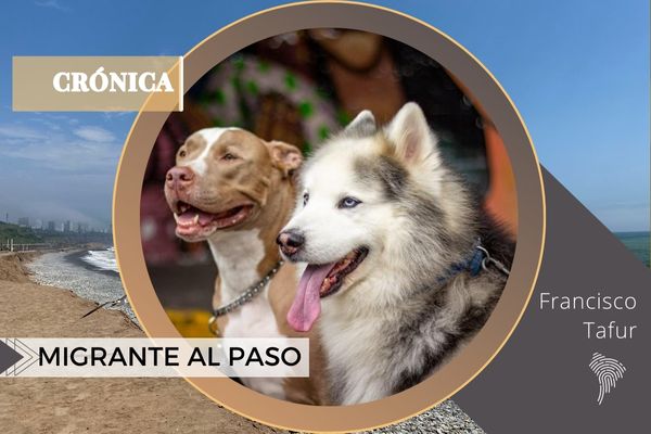 A casa, de vuelta