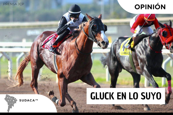Gluck en lo suyo