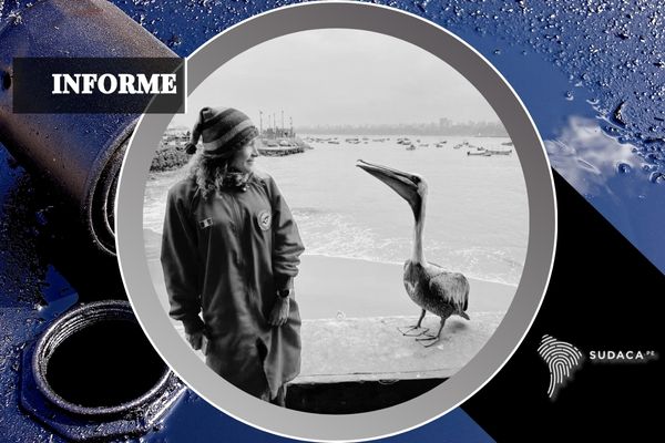 Petróleo en el mar: una catástrofe repetida