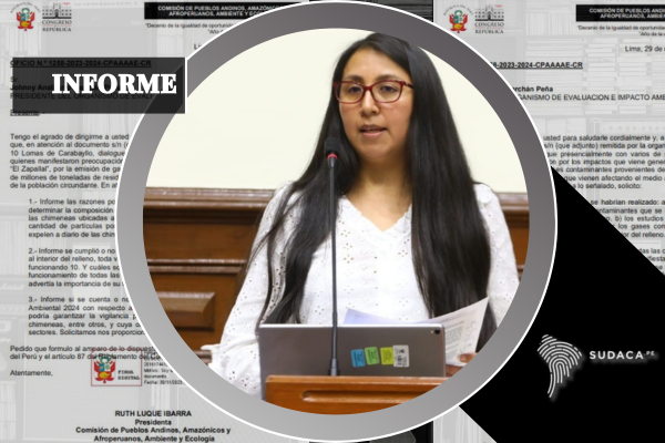 Informe Benjamin Zevallos - Ruth Luque