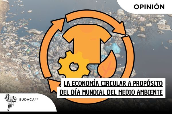 La Economía Circular a propósito del Día Mundial del Medio Ambiente, Fiorella Danjoy