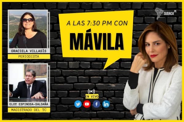 ¿Cómo avanzan las investigaciones que involucran al presidente Castillo?