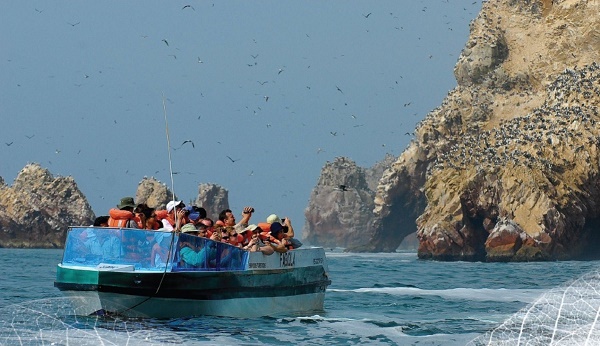 Turismo Perú Paracas