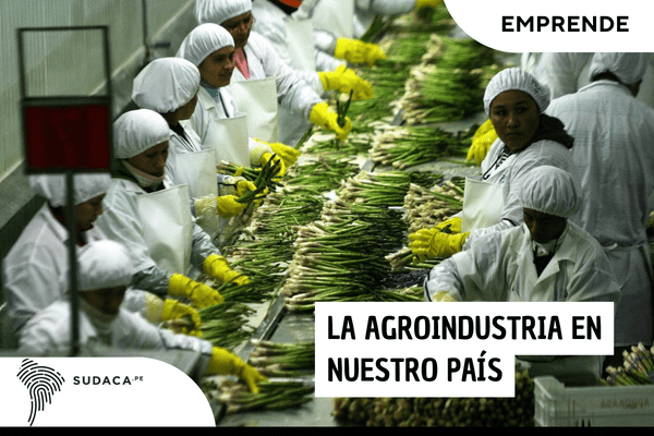La agroindustria en nuestro País