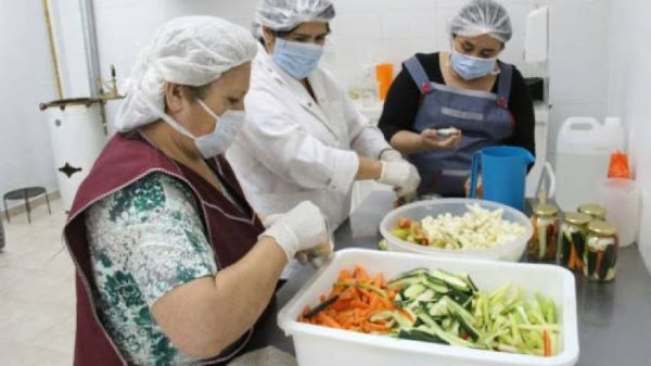 alimentos