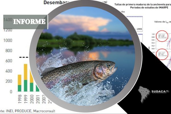 Pesca en el sur: Un naufragio evitable