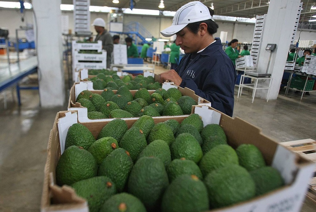 ¿Qué pasos debe seguir una empresa que quiere empezar a exportar?
