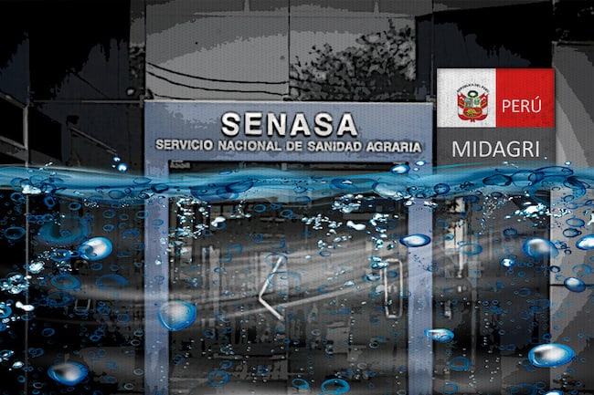 senasa-pago-trabajdores-deuda